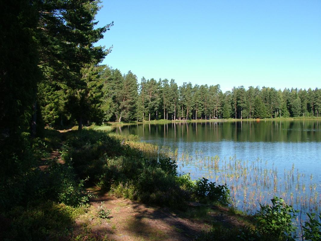 Bild zum Arnästjärn von tjard