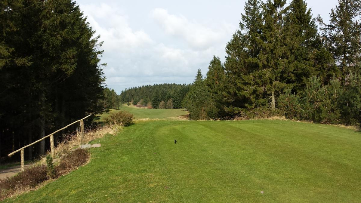 Bild zum Holstebro Golfklub von tjard